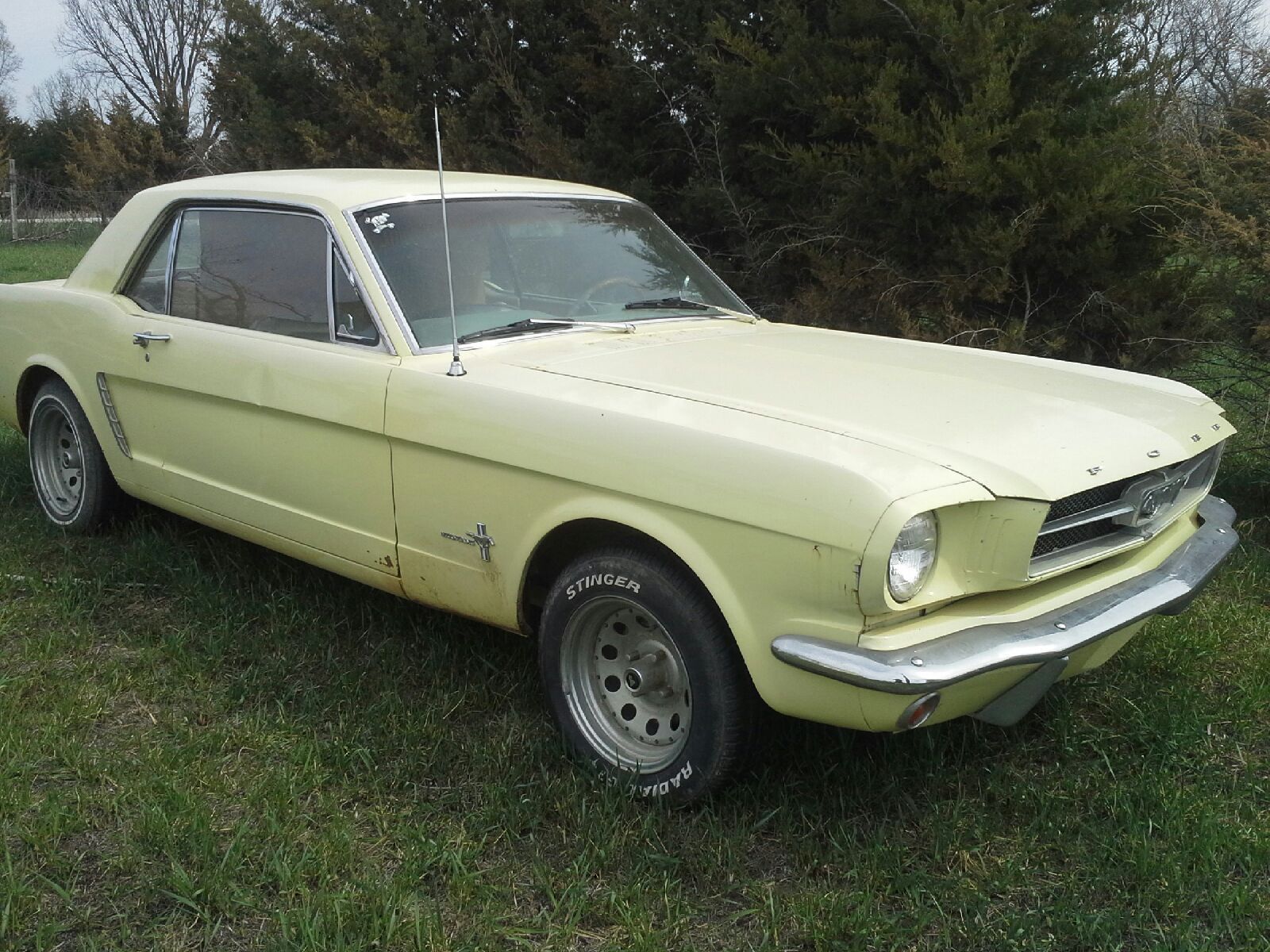 1965 mustang coupe