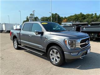 2021 Ford F-150 platinum