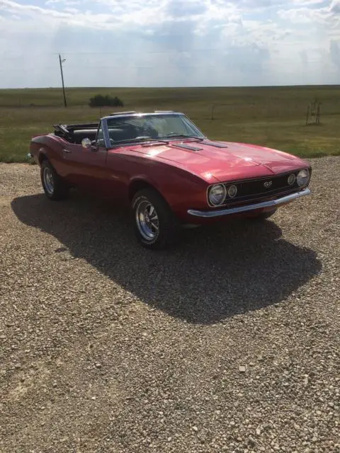 1967 chevrolet camaro convertible rs/ss tribute frame off restoration