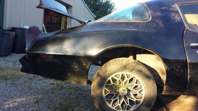 1977 pontiac firebird trans am special edition y81