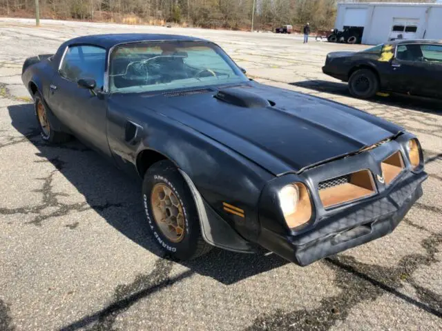 1976 pontiac trans am le 50th anniversary y82