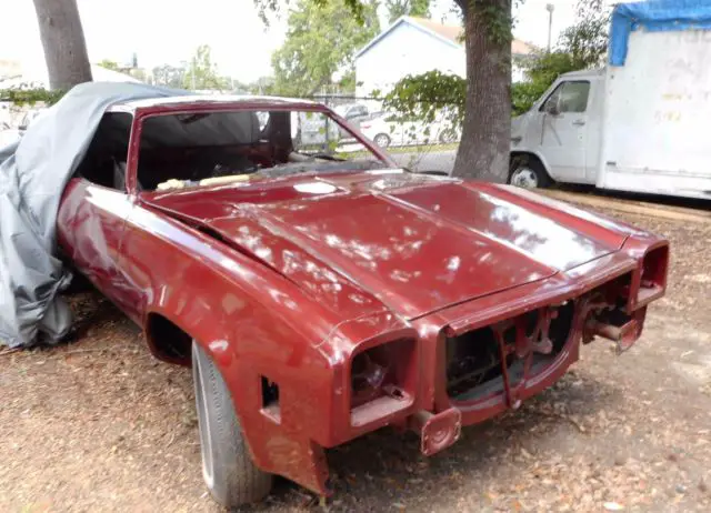 1976 el camino project - easy to finish, has a 1974-75 front end