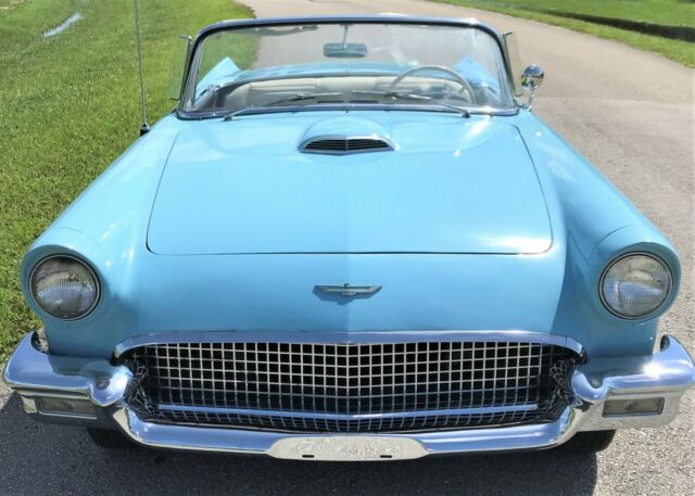 1957 ford thunderbird survivor