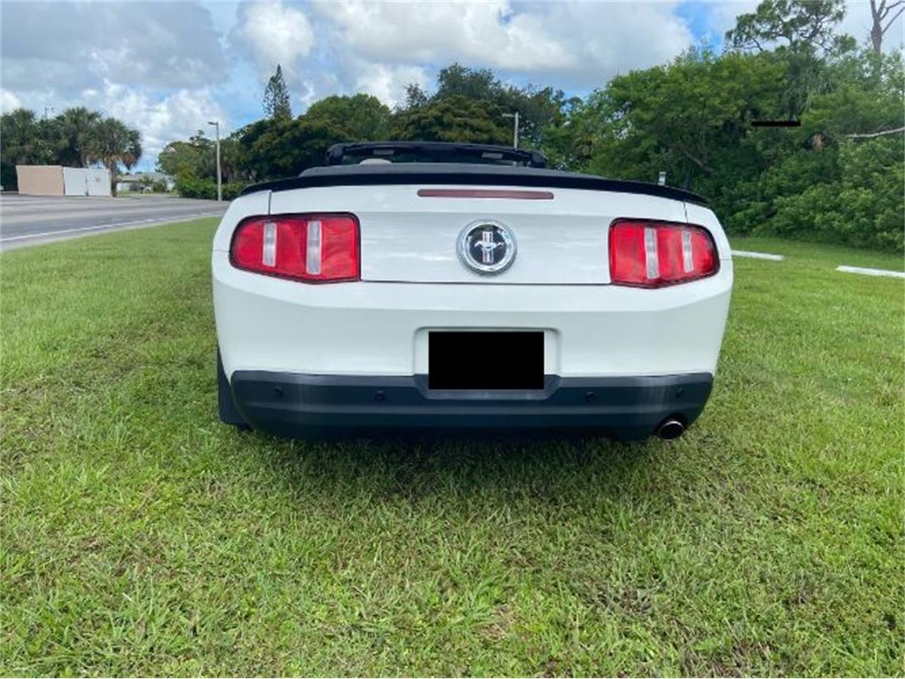 2010 ford mustang