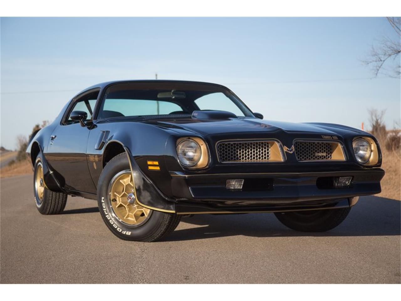 1976 pontiac firebird trans am