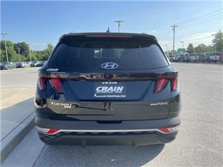 2024 Hyundai Tucson blue