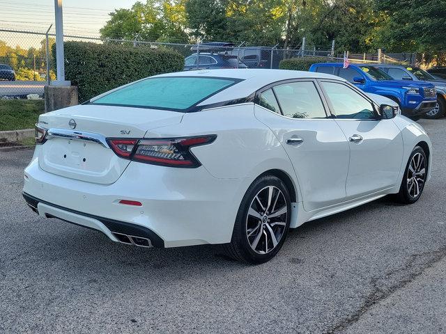 2023 nissan maxima sv