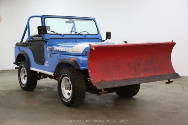 1976 levis edition with v8 used