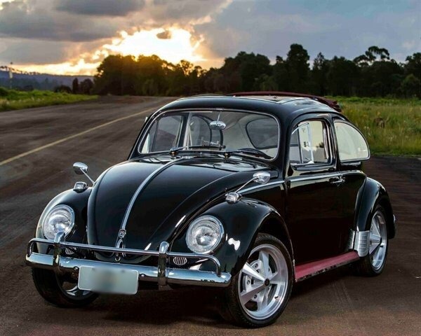 1969 volkswagen beetle