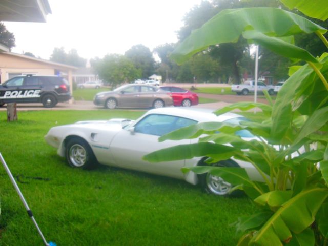 1979 pontiac trans am , 403 original nice trans am,runs great &_ beautiful *****