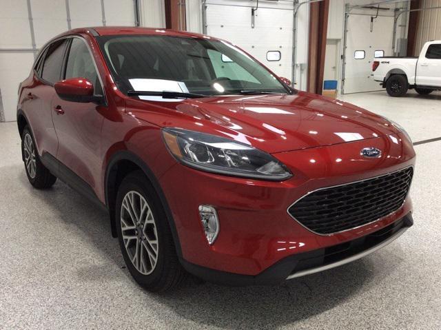 2022 ford escape sel
