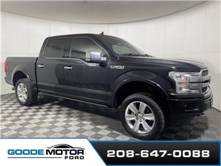 2019 Ford F-150 platinum