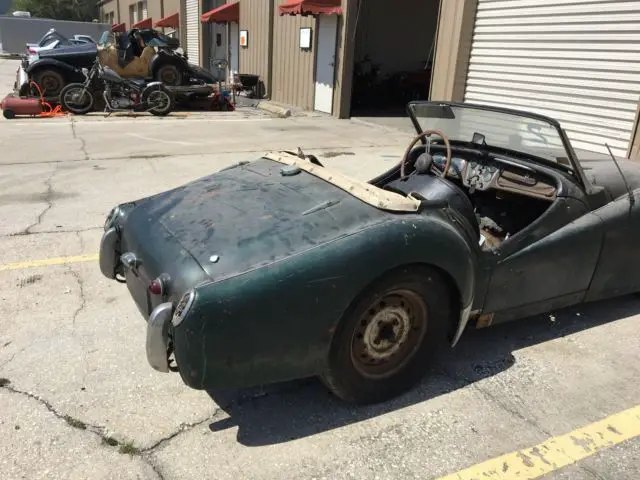 rare small mouth tr3