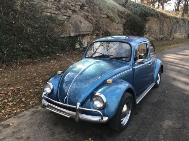 classic beetle! super clean runs great free shipping! make offer!
