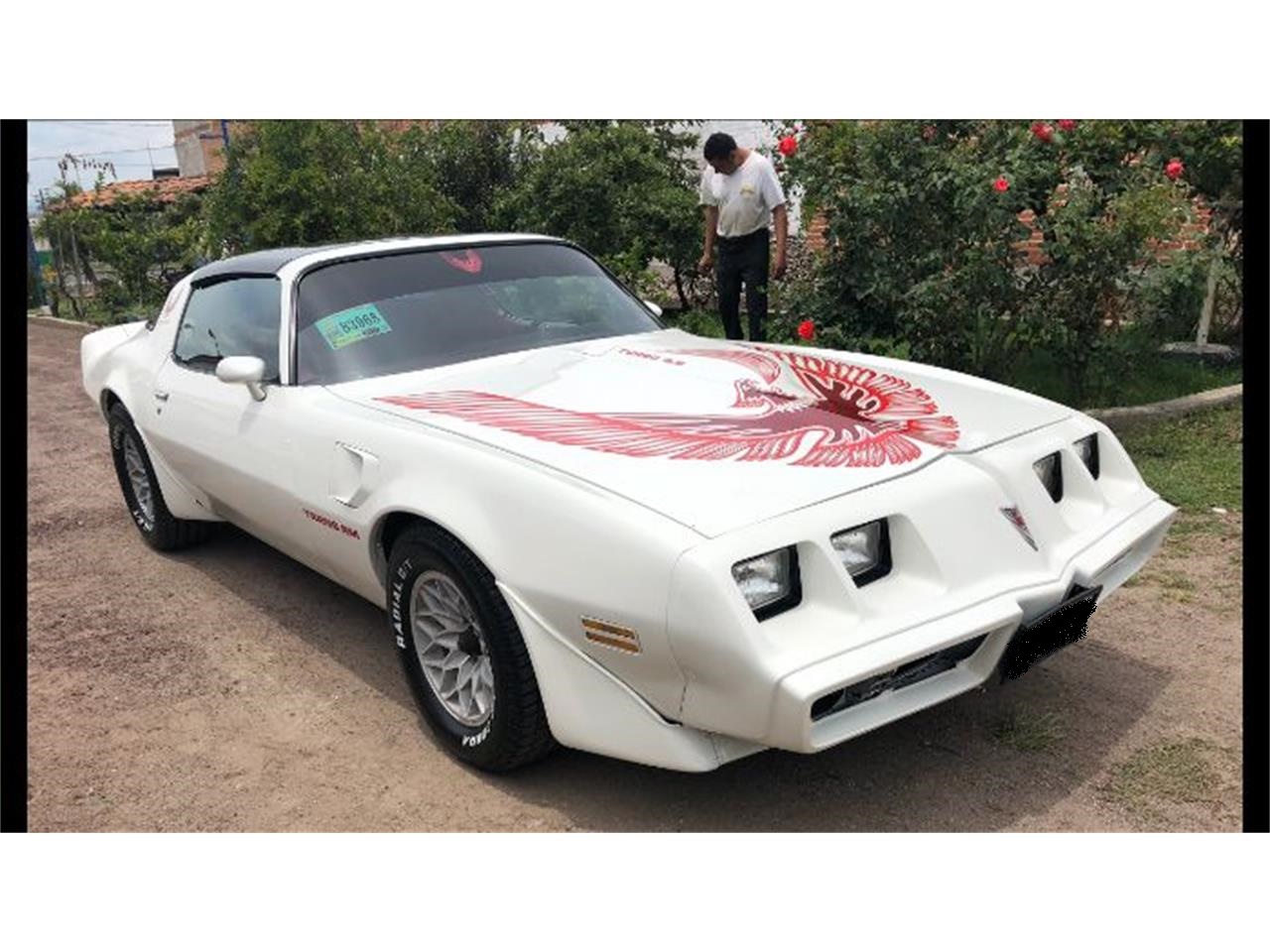 1981 pontiac firebird trans am