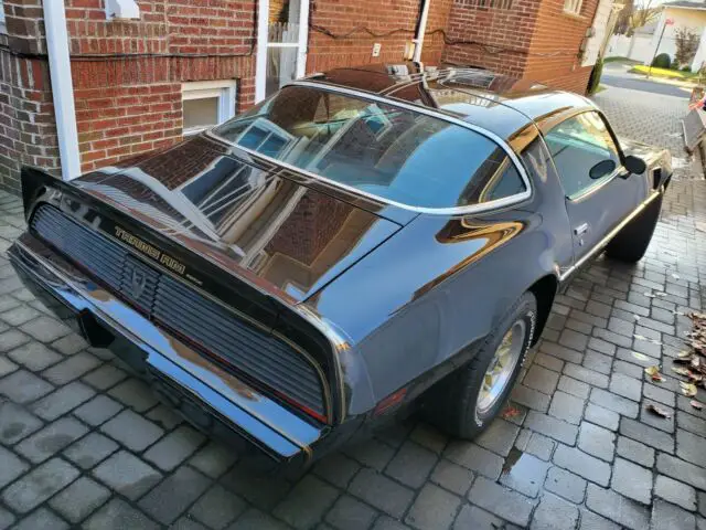 1981 special edition 'bandit' trans am 4spd/one owner/only 49,000 miles
