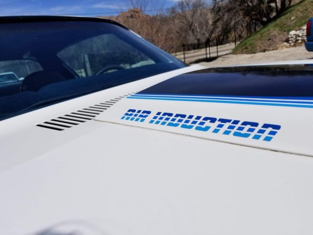 1981 chevrolet camaro z/28, numbers matching, 4 speed, a/c, zero rust