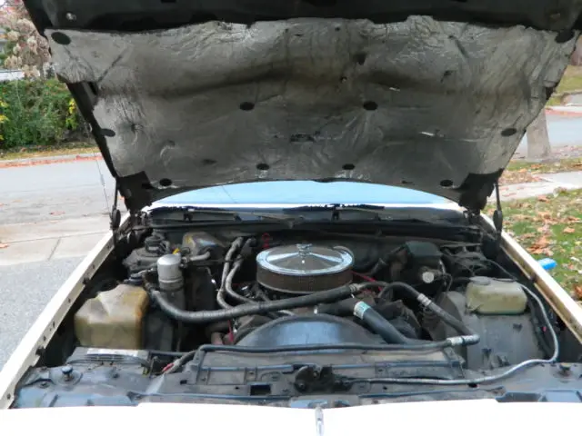 1984 pontiac grand prix one owner (5 days only must go)