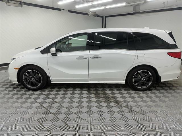 2022 honda odyssey elite
