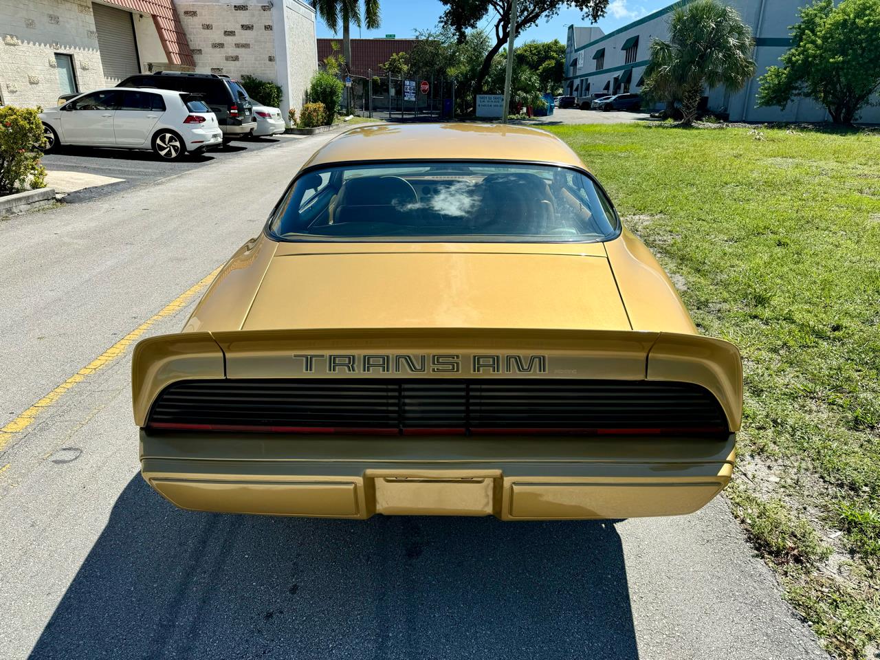 1979 pontiac firebird trans am