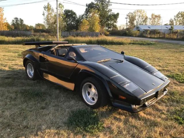 very rare lamborghini countach replica kit car cost $65,000 to build!! sbc 350