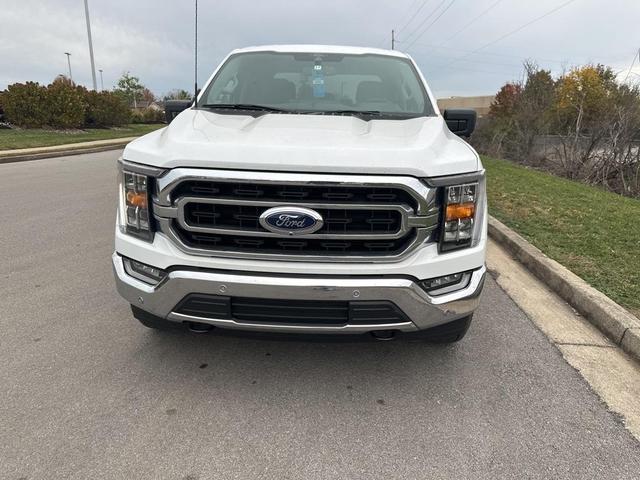 2022 ford f-150 xl