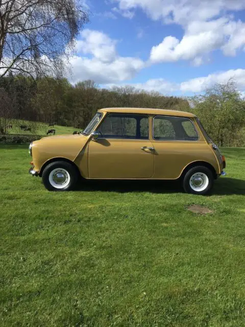 classic mini 998 concours contender