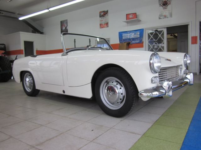 austin healy