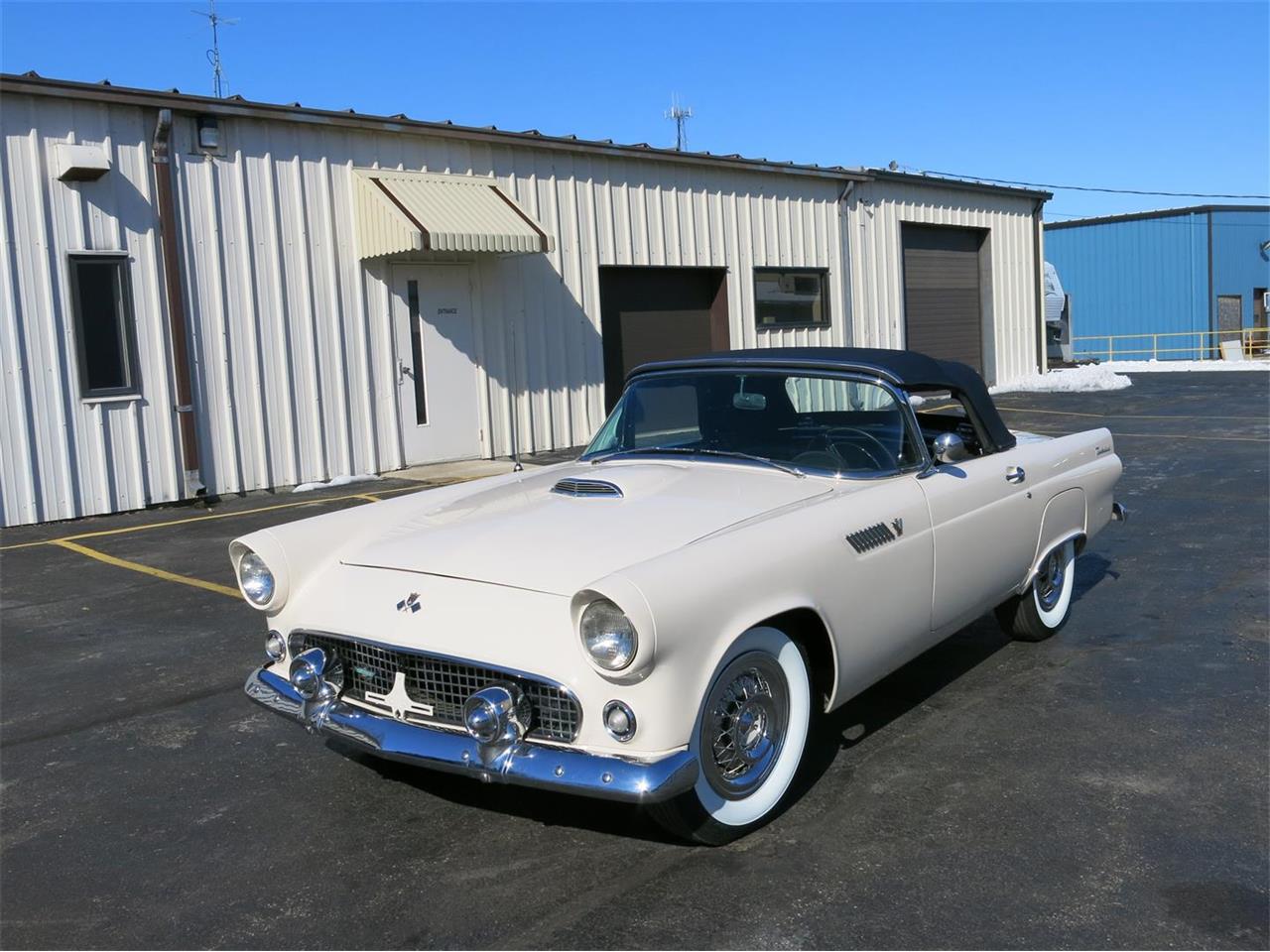 1955 ford thunderbird