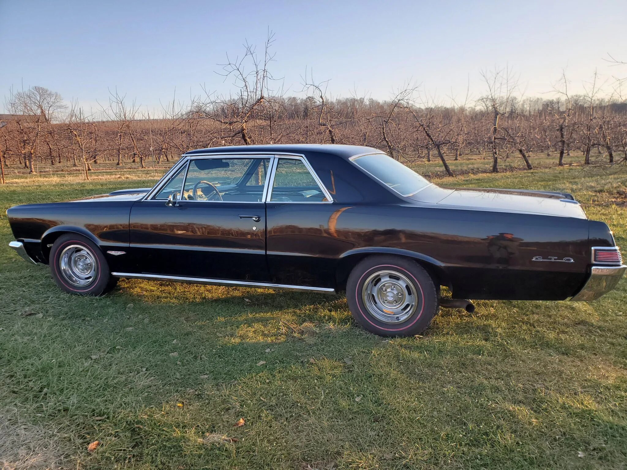 pontiac gto