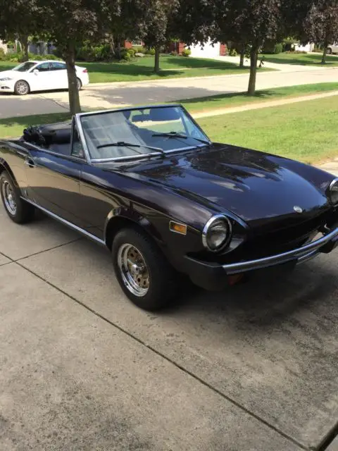 1977 fiat spider sport