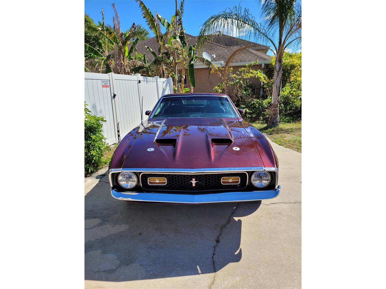 ford mustang