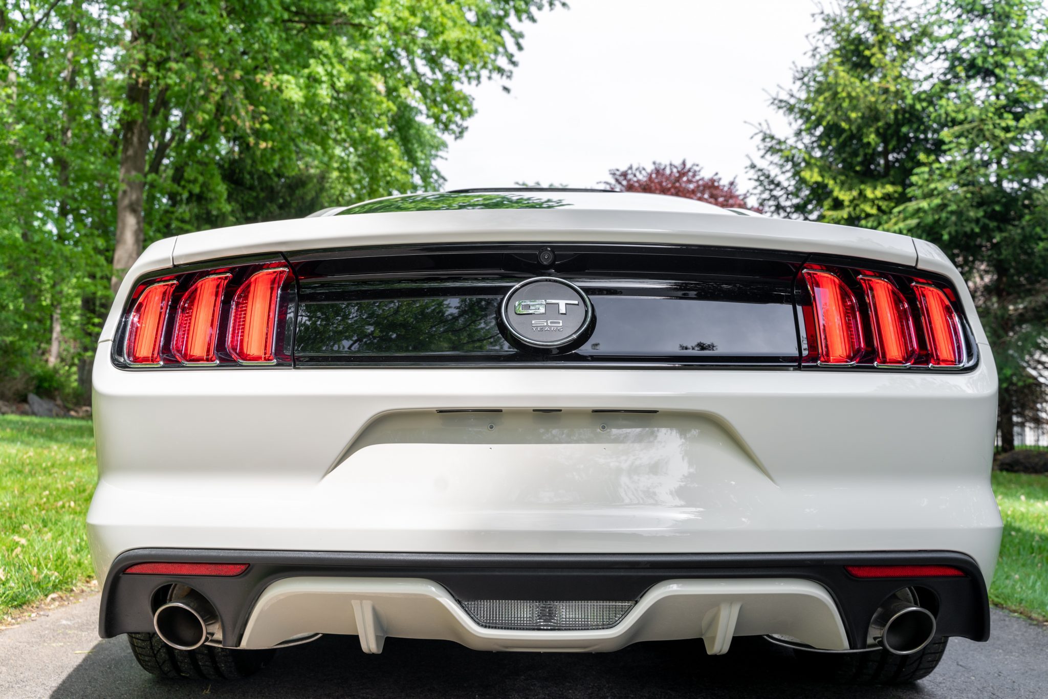 2015 ford mustang gt 50th anniversary edition 6-speed
