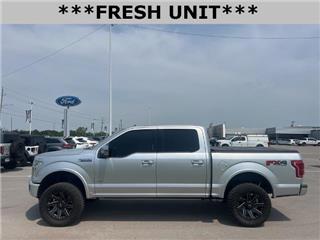 2015 Ford F-150 platinum