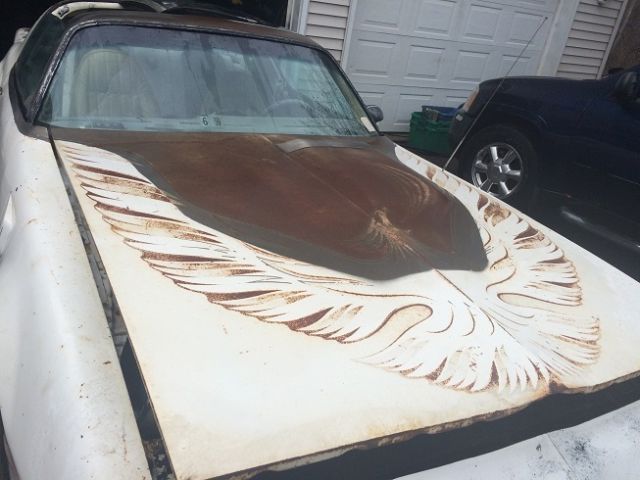 1980 firebird trans am turbo indy pace car