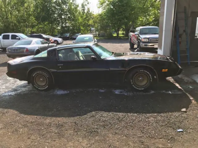 1981 trans am rare 4 speed with ac barn find survivor! burt reynolds bandit!