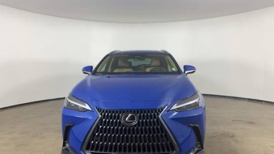 2025 Lexus NX