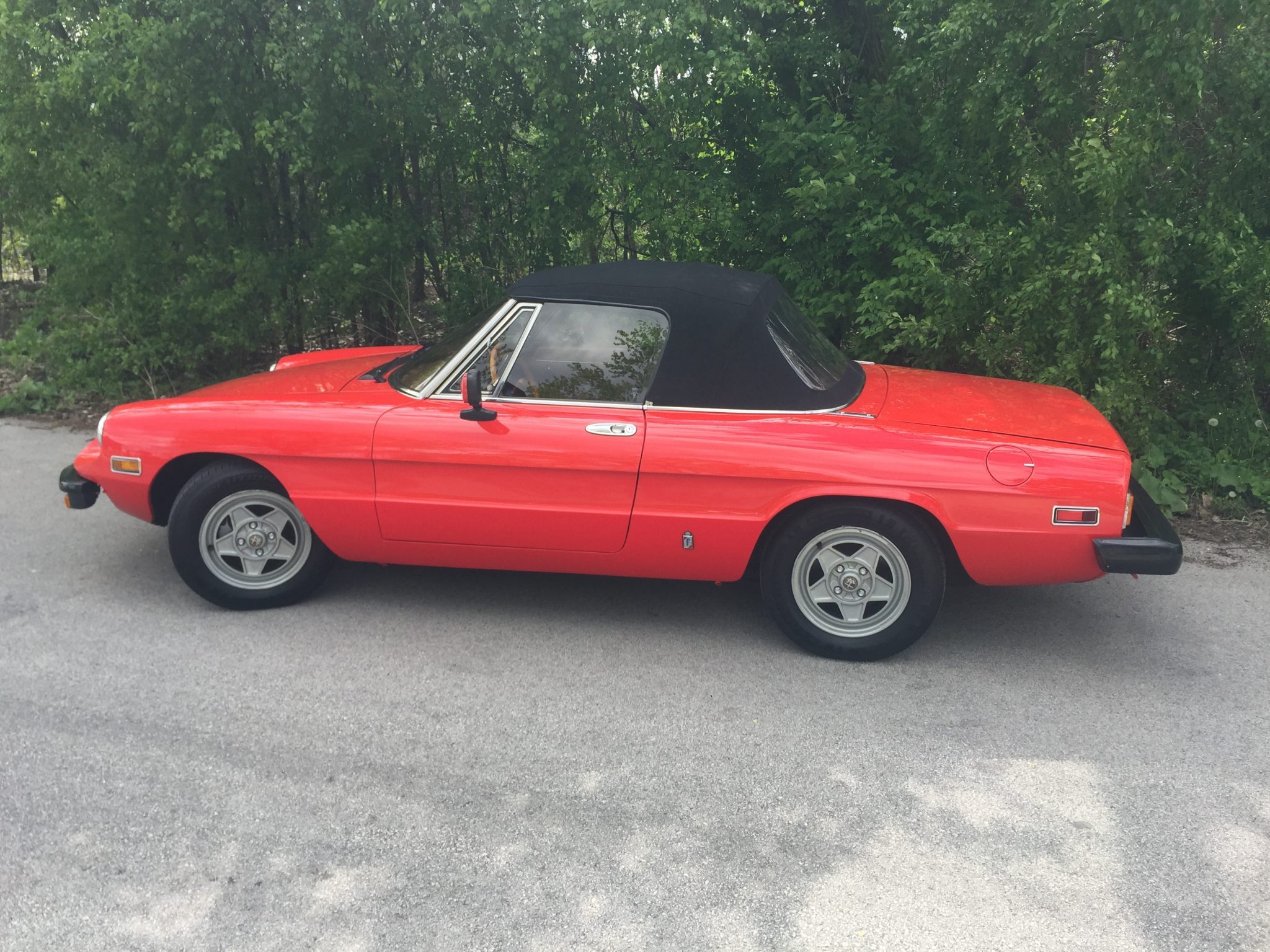 1982 alfa romeo spider