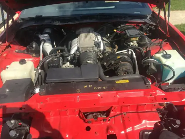 clean low mile survivor