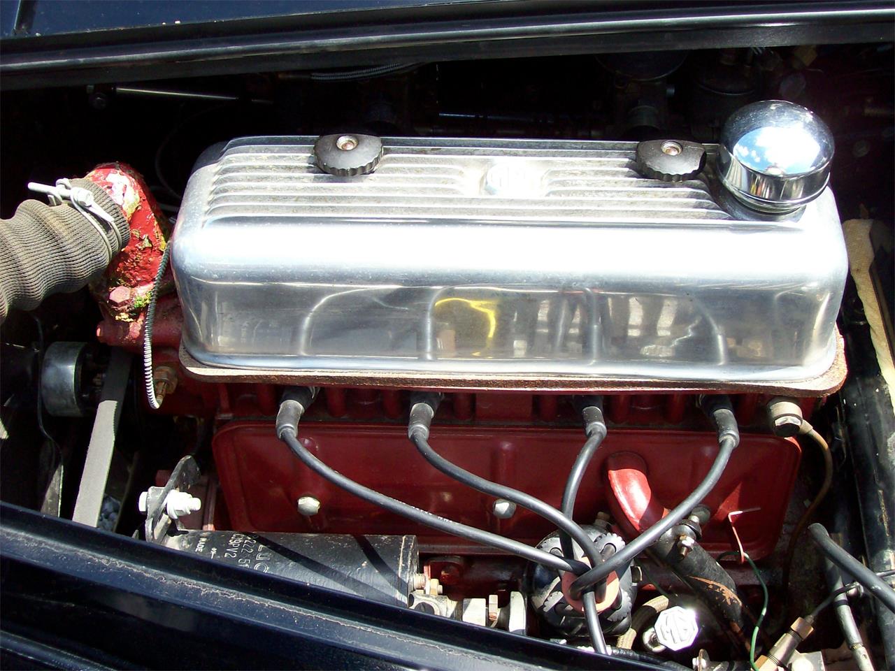 1954 mg tf