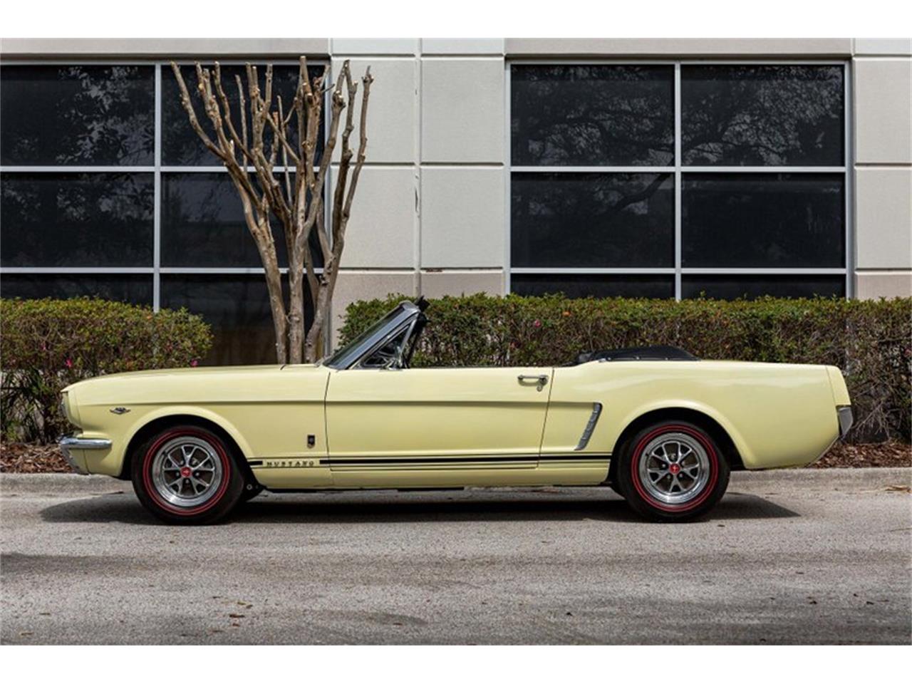1965 ford mustang
