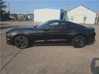 2022 Ford Mustang ecoboost