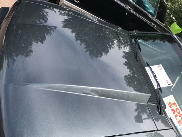 1990 mustang lx 5.0l w/ orig 5 spd original 90k car w/ new paint and interior!