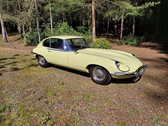 jaguar xk-e