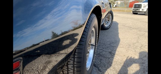 1979 pontiac trans am y84 se