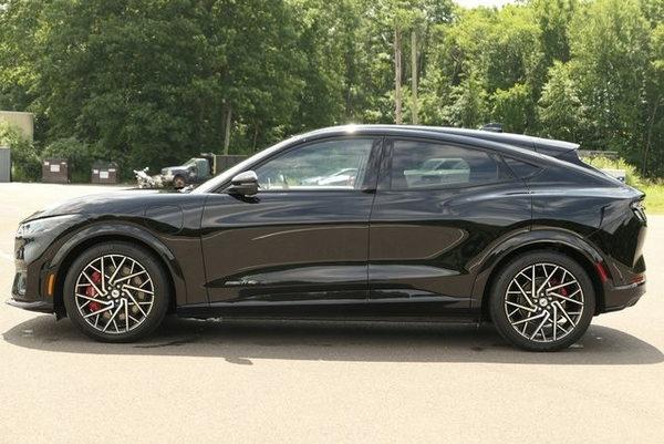 2021 ford mustang mach-e in dulles, virginia