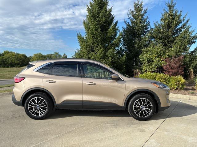 2021 ford escape sel