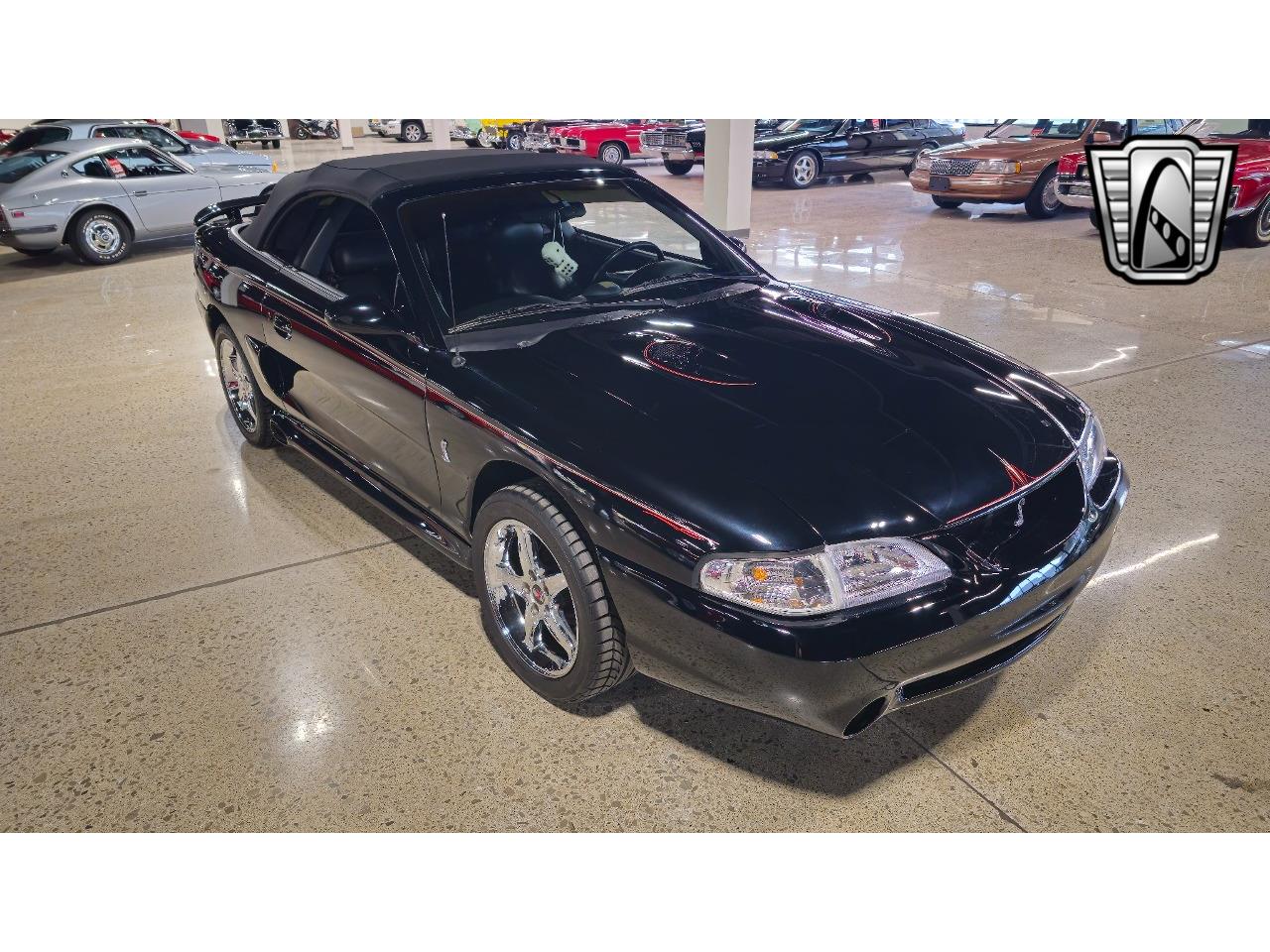 1996 ford mustang svt cobra
