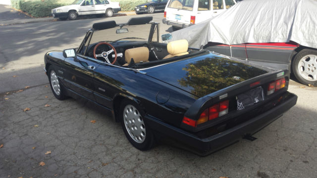 1987 alfa romeo spider quadrifoglio - fully restored to like new condition!