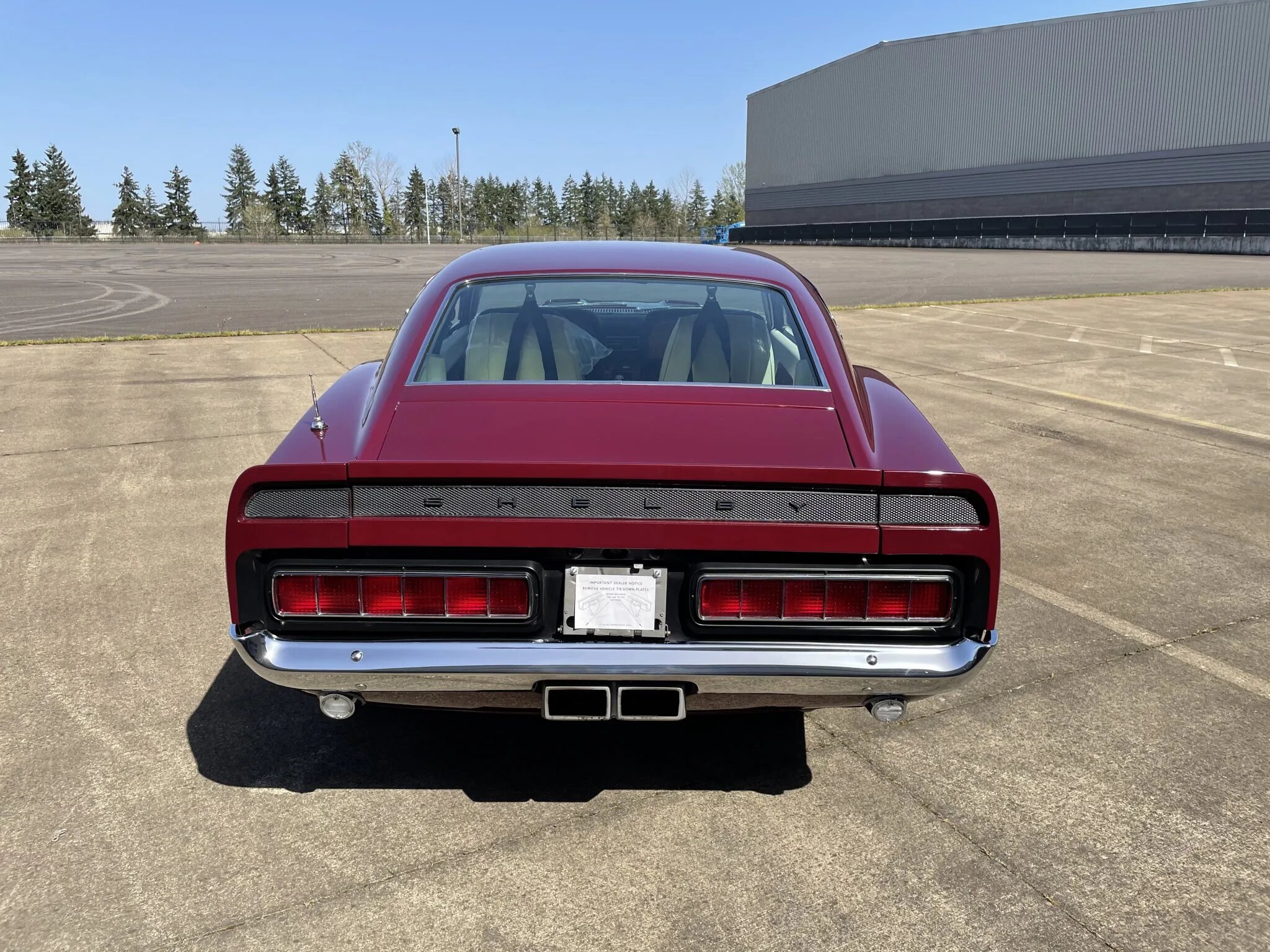 shelby mustang gt500